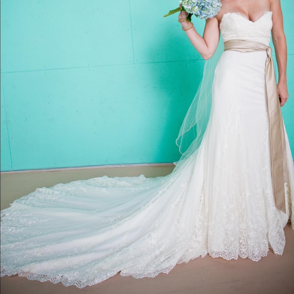 Pronovias Wedding Gown